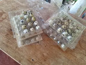 Quail Eggs