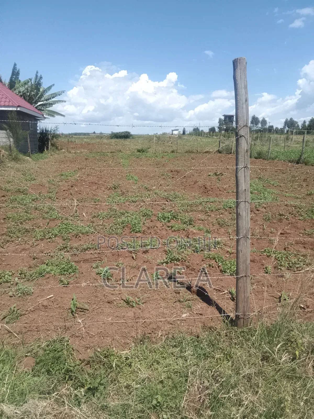 50*100 Plot Opposite Simba Cement ,Behind Ovacado Farm.