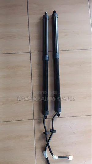 Electric Boot Shocks/Struts Harrier New Model 2014+