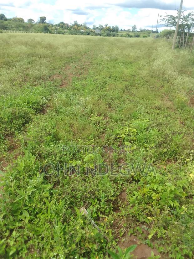 Matuu Prime Land - main view