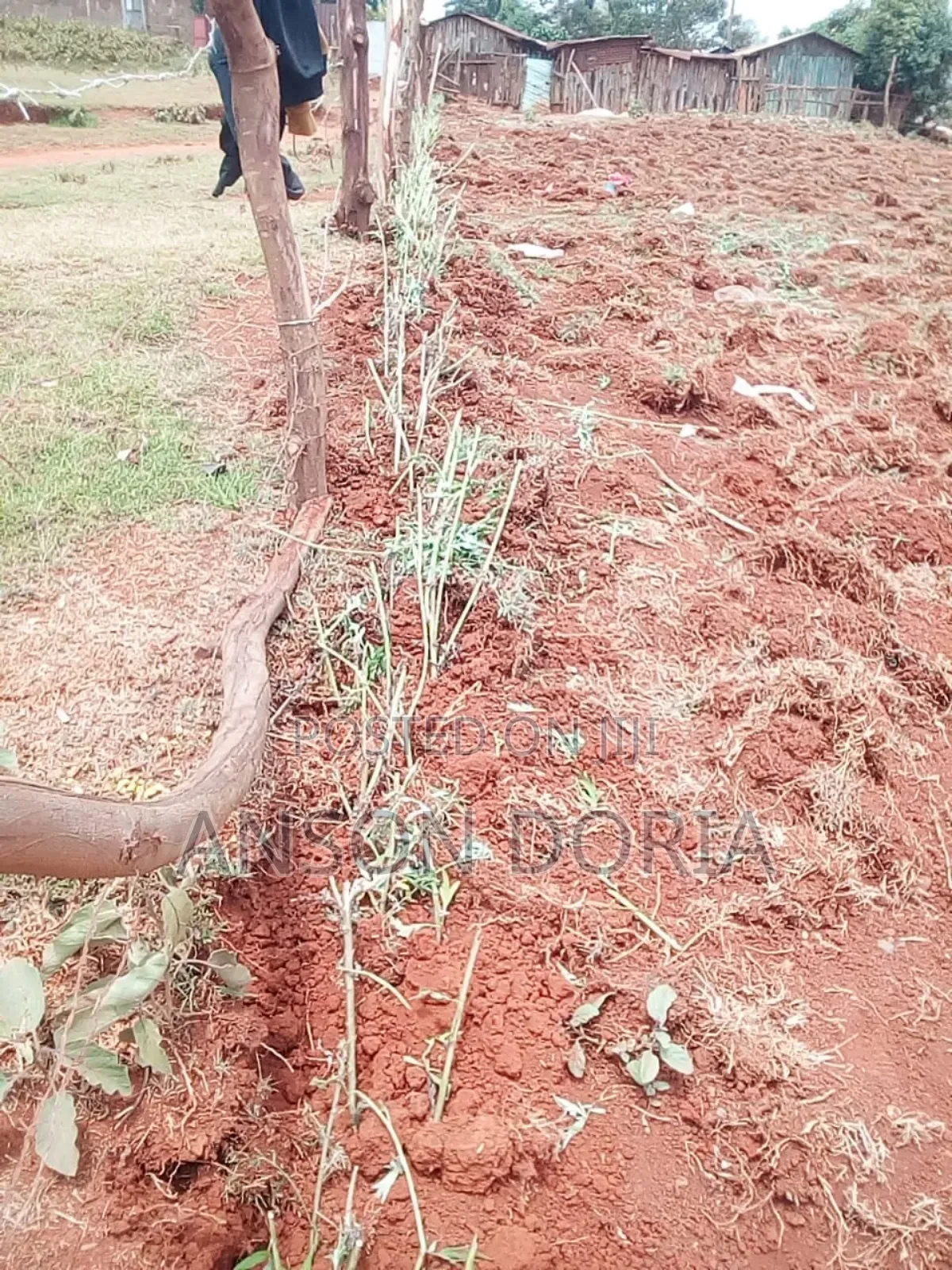 Plot to Let. Karatina
