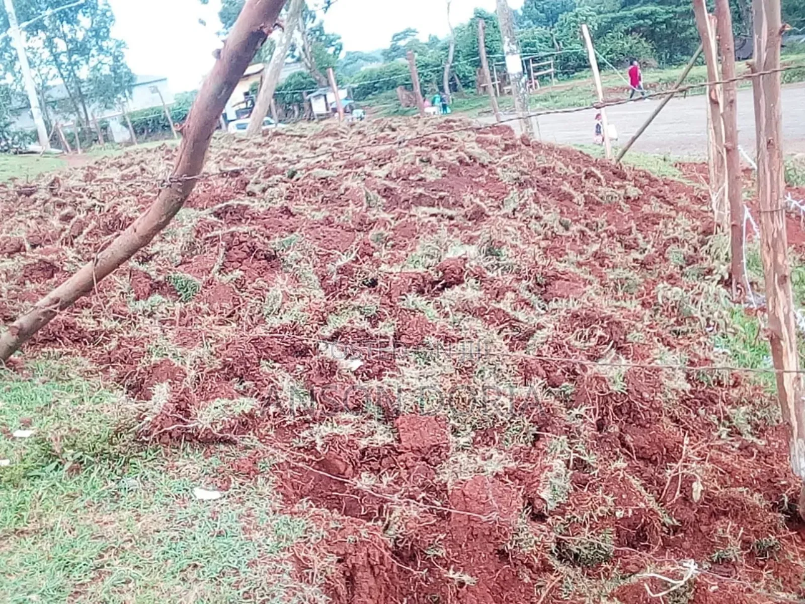 Plot to Let. Karatina