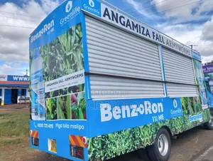 Roadshows/Marketing
