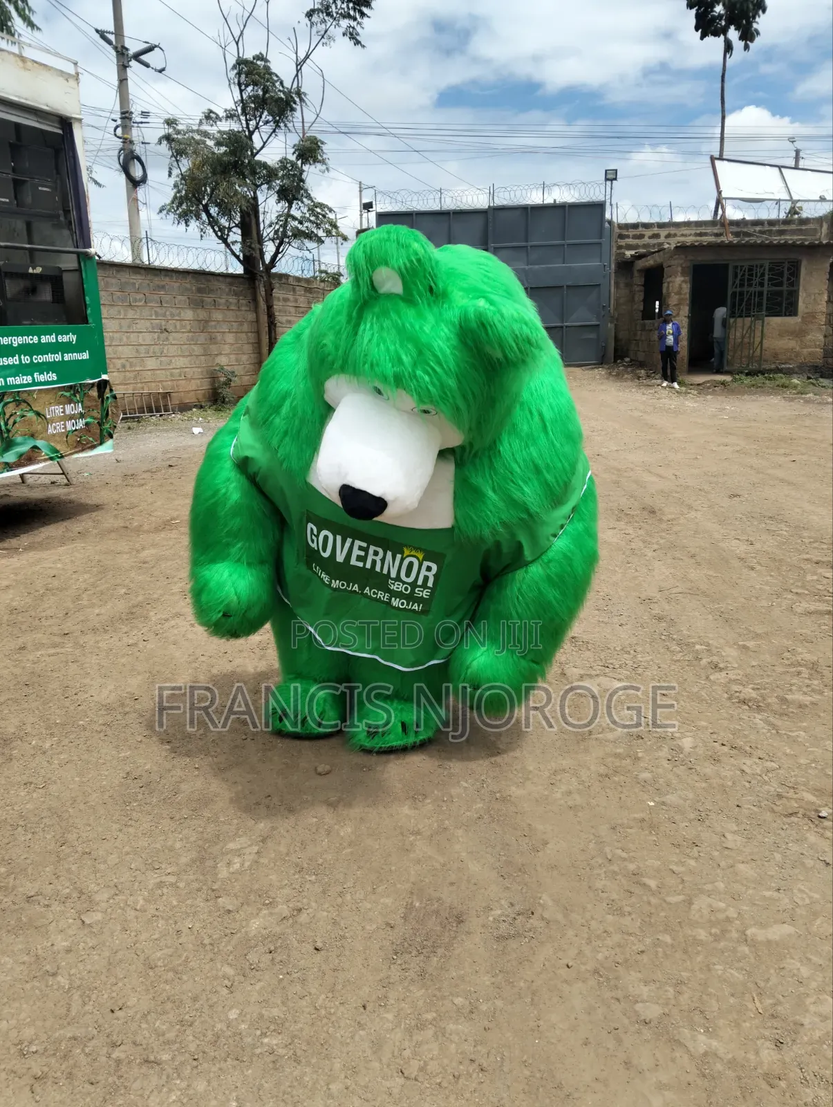 Mascot For Hire
