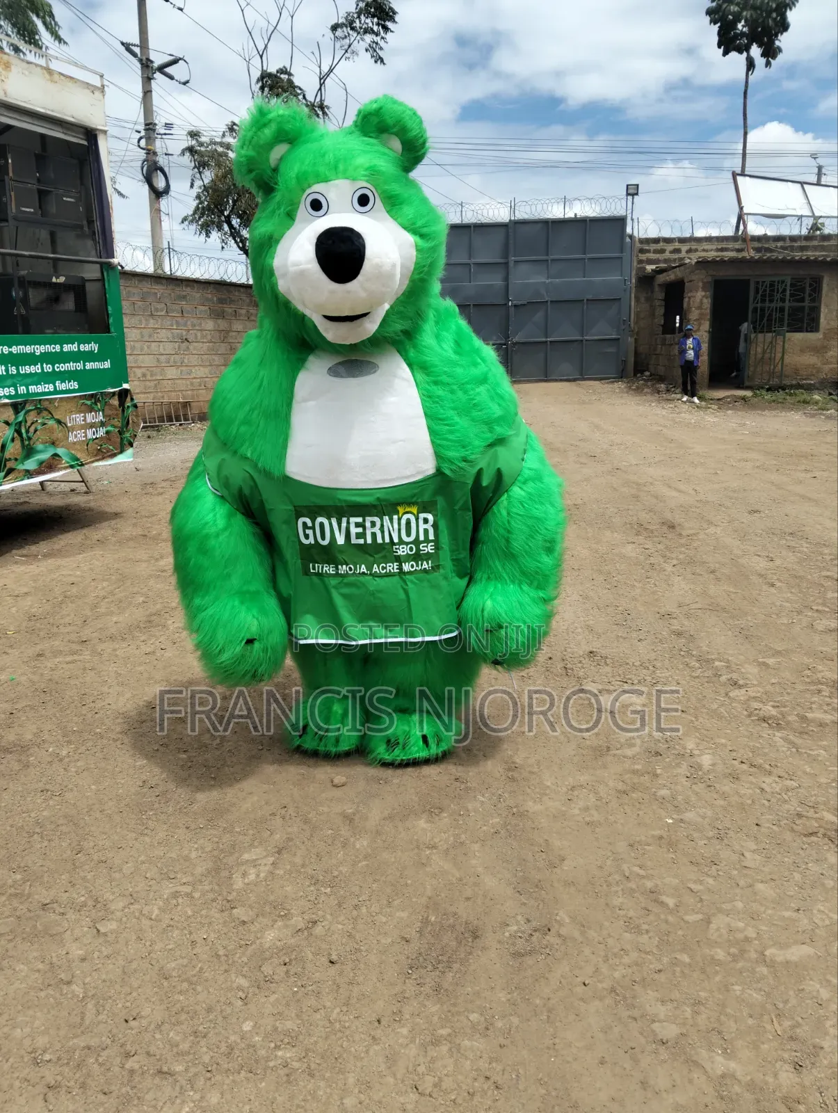 Mascot For Hire