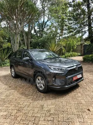 Toyota RAV4 2021 Gray