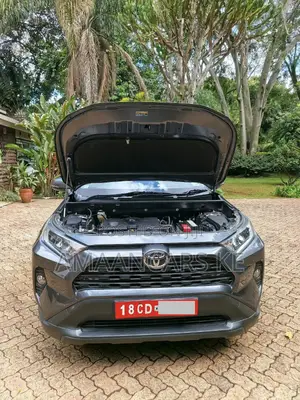 Toyota RAV4 2021 Gray