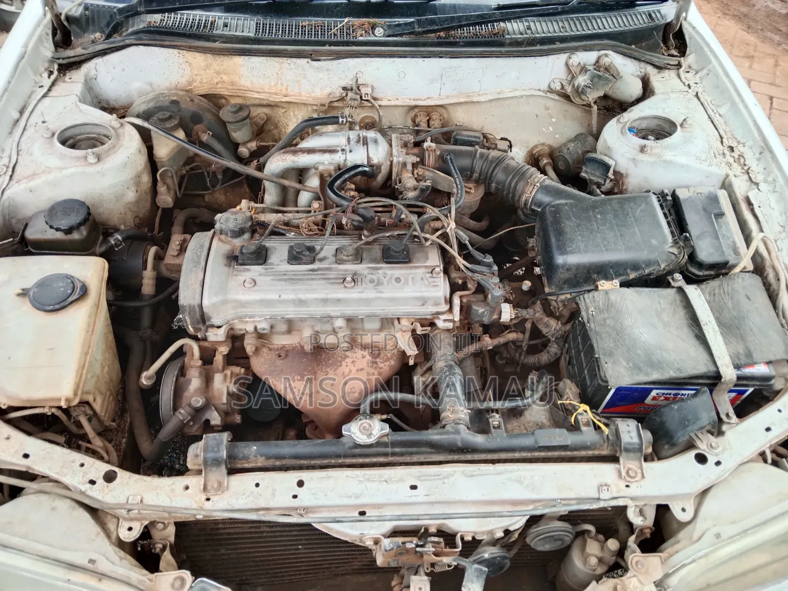 Toyota Corolla 1998 White