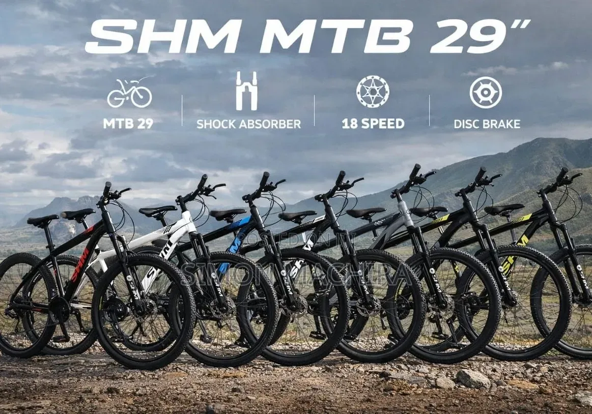 MTB Size 29 Bike