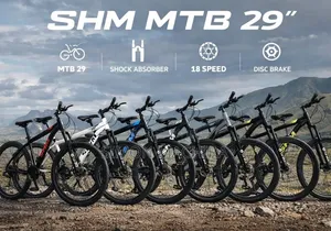 MTB Size 29 Bike