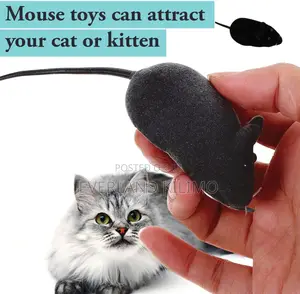 Sound Interactive Indoor Mouse