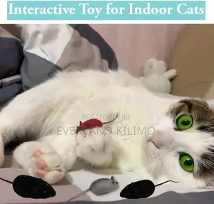 Outdoor Playing Toy