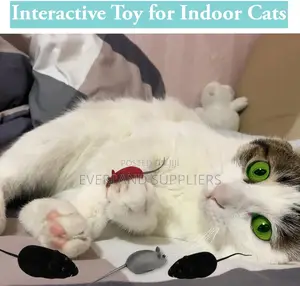 Outdoor Playing Toy