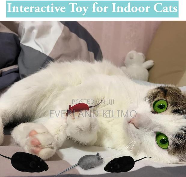 Outdoor Playing Toy