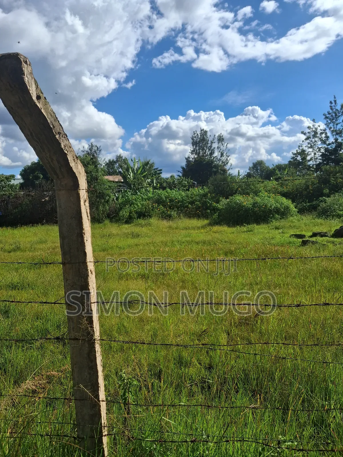 Ruiru Mugutha Prime 100x125 Residential Plot Off Kiganjo Road