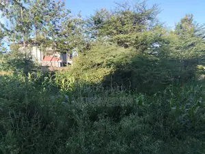 100 by 100 Plot for Sale Near Ongata Rongai SGR Station