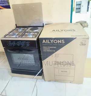 50*55 Ailyons 3+1electric Hot Plate Standing Cooker