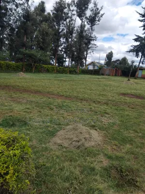 Tony’S Lawncare Services