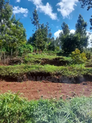 Near Thika Greens