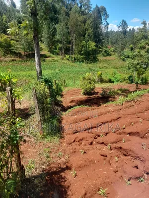 Near Thika Greens