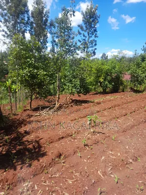 Near Thika Greens