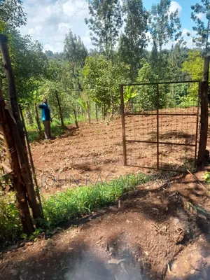 Near Thika Greens