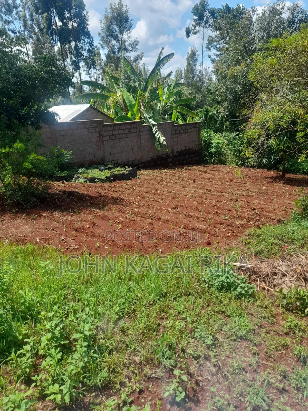 Near Thika Greens