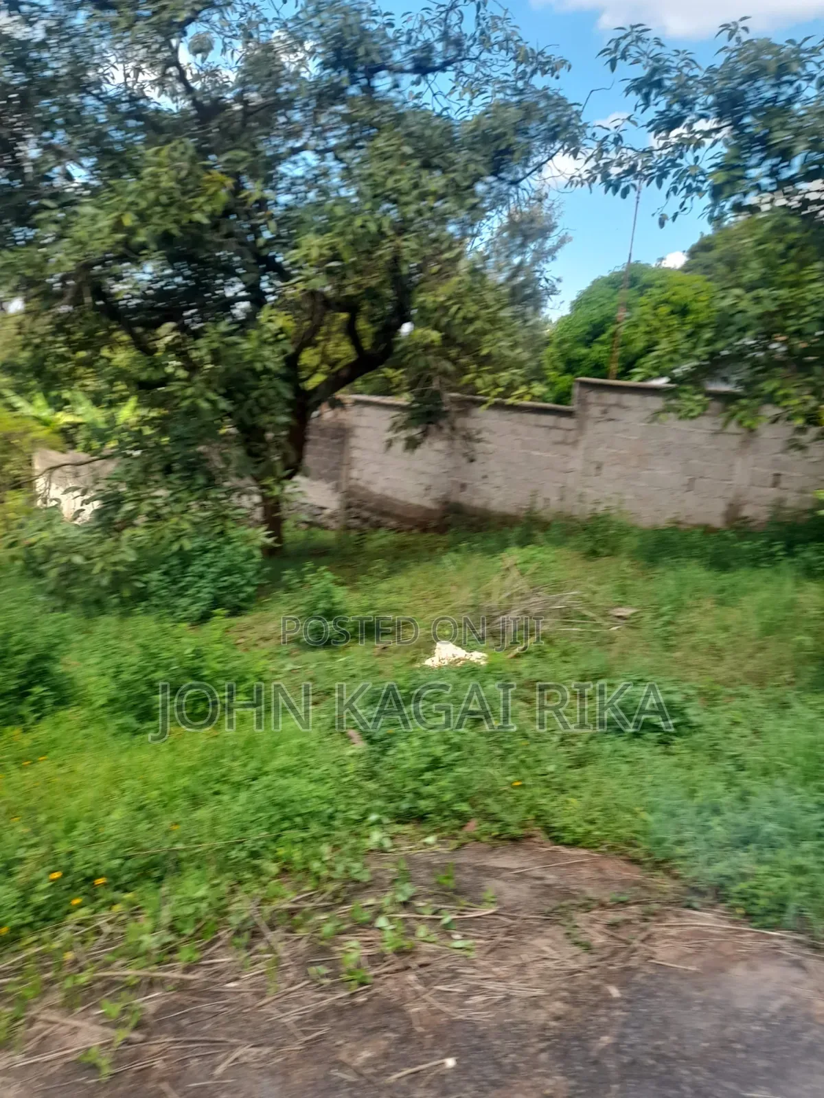Near Thika Greens