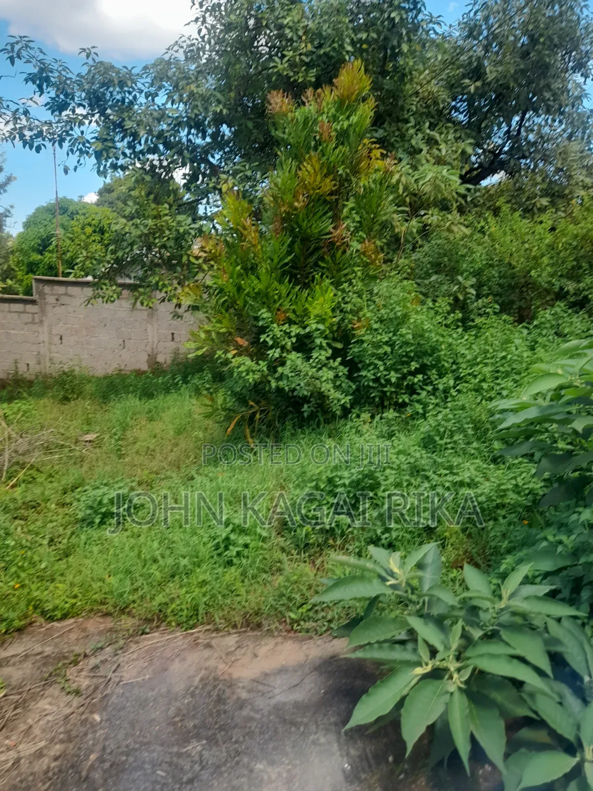 Near Thika Greens