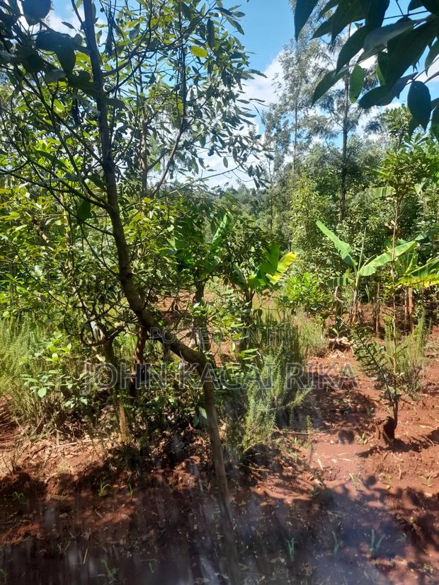 Near Thika Greens - thumbnail 11