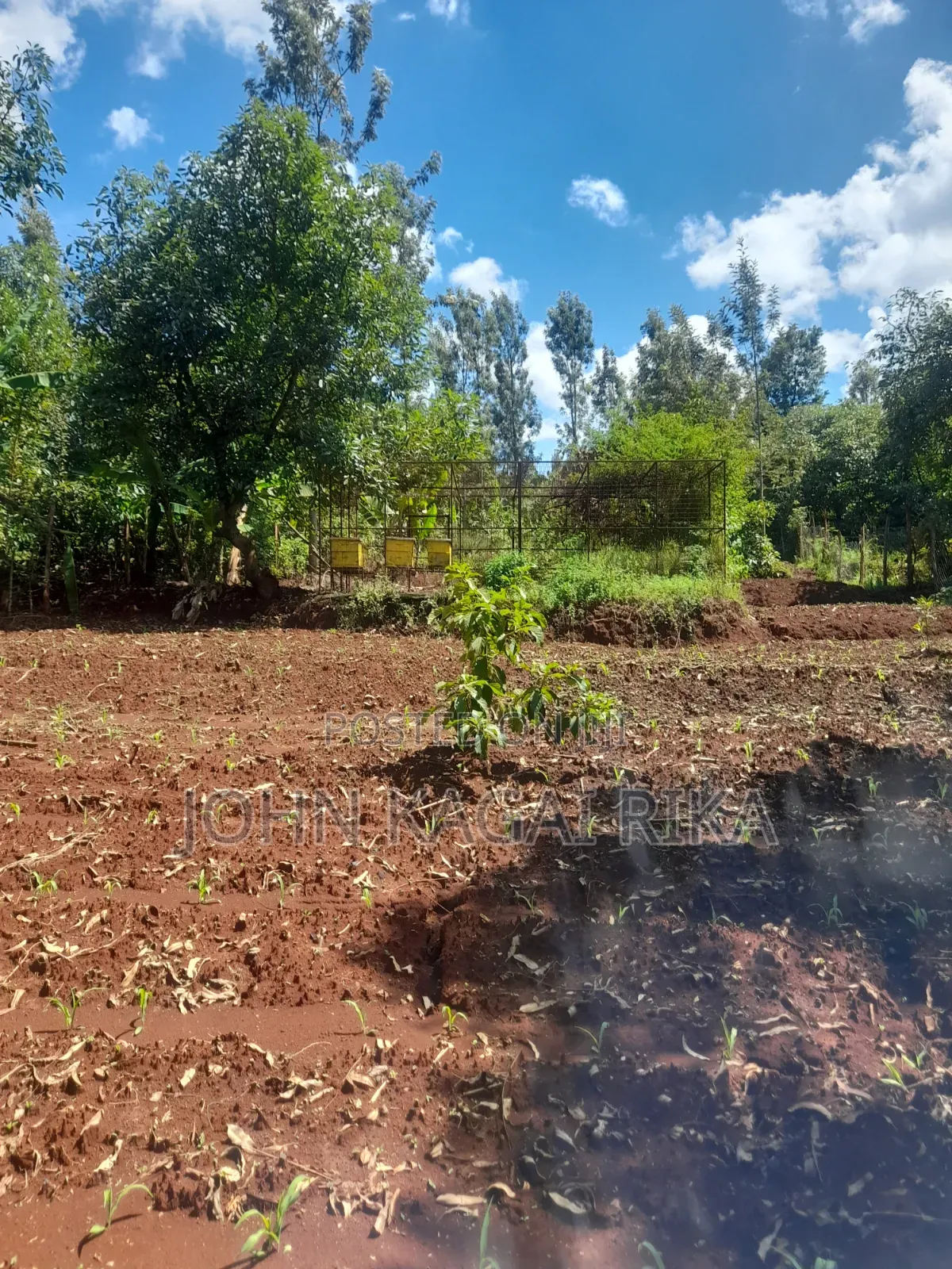 Near Thika Greens