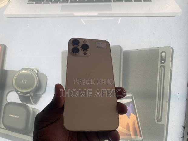 Apple iPhone 13 Pro Max 256 GB Gold - thumbnail 2