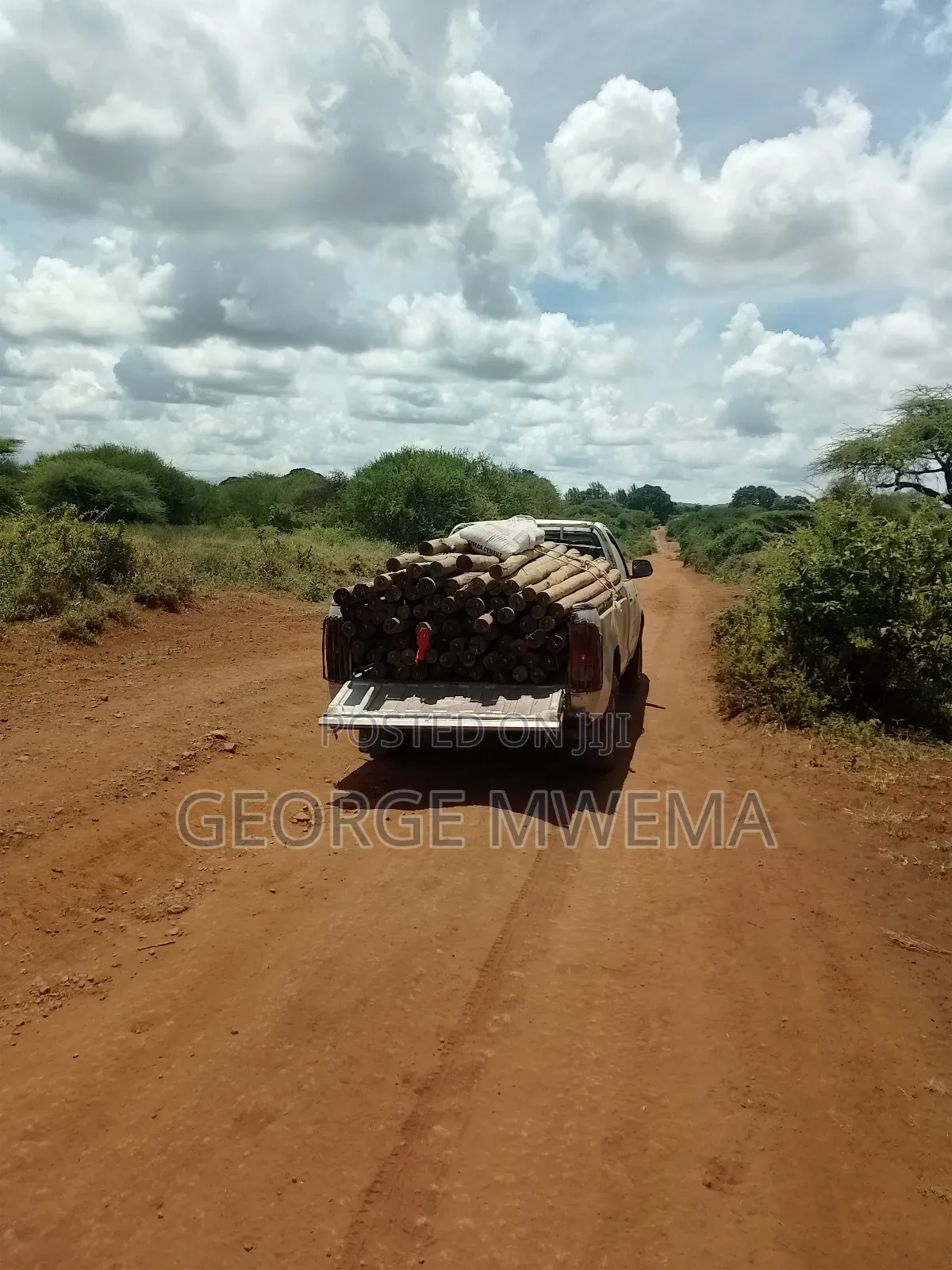 Transport Services