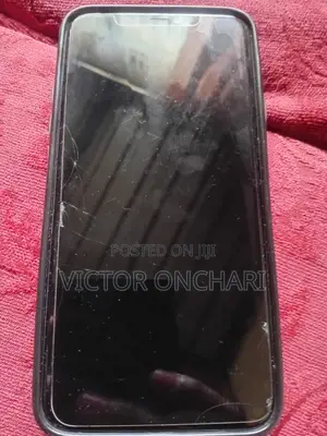 I Phone 11 Pro Max Screen and Any Accessory Needs a New Mother Board
