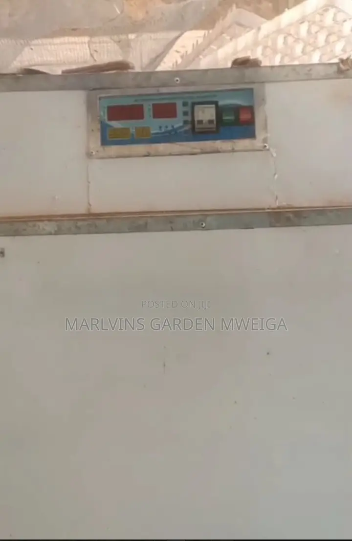 1000 Eggs Incubator With Hatchery