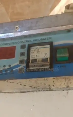 1000 Eggs Incubator With Hatchery