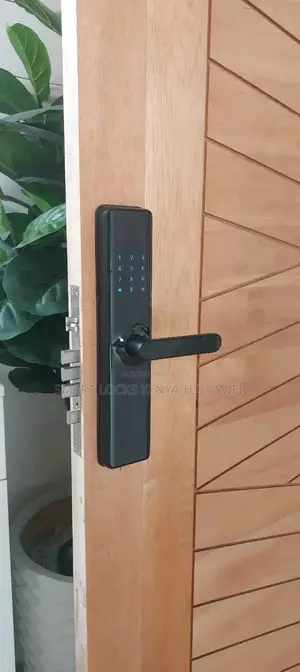 Tuya Wi-Fi Fingerprint Door Lock, Security Smart Lock With Wifi App