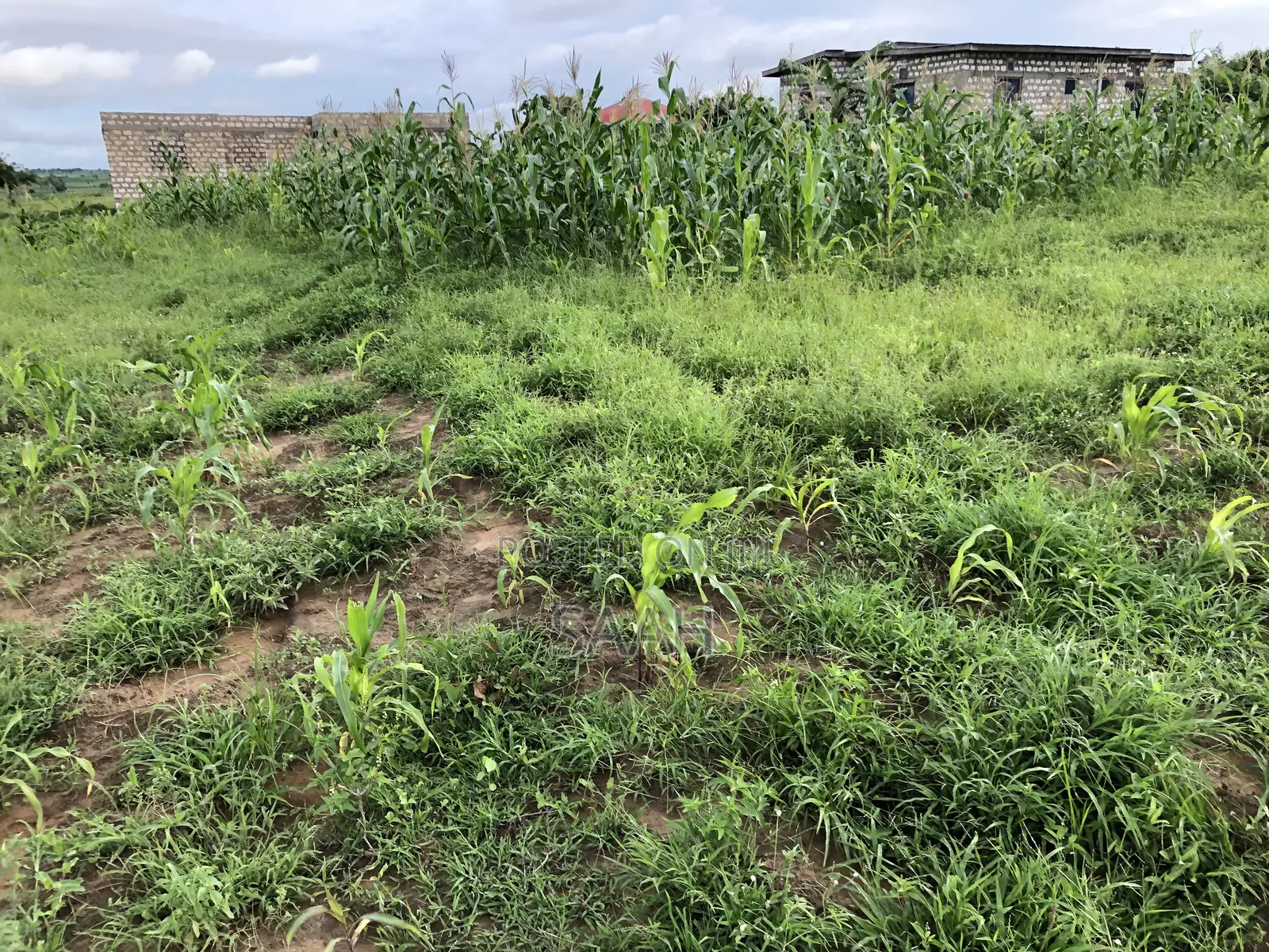 1/6th an Acre Plot for Sale