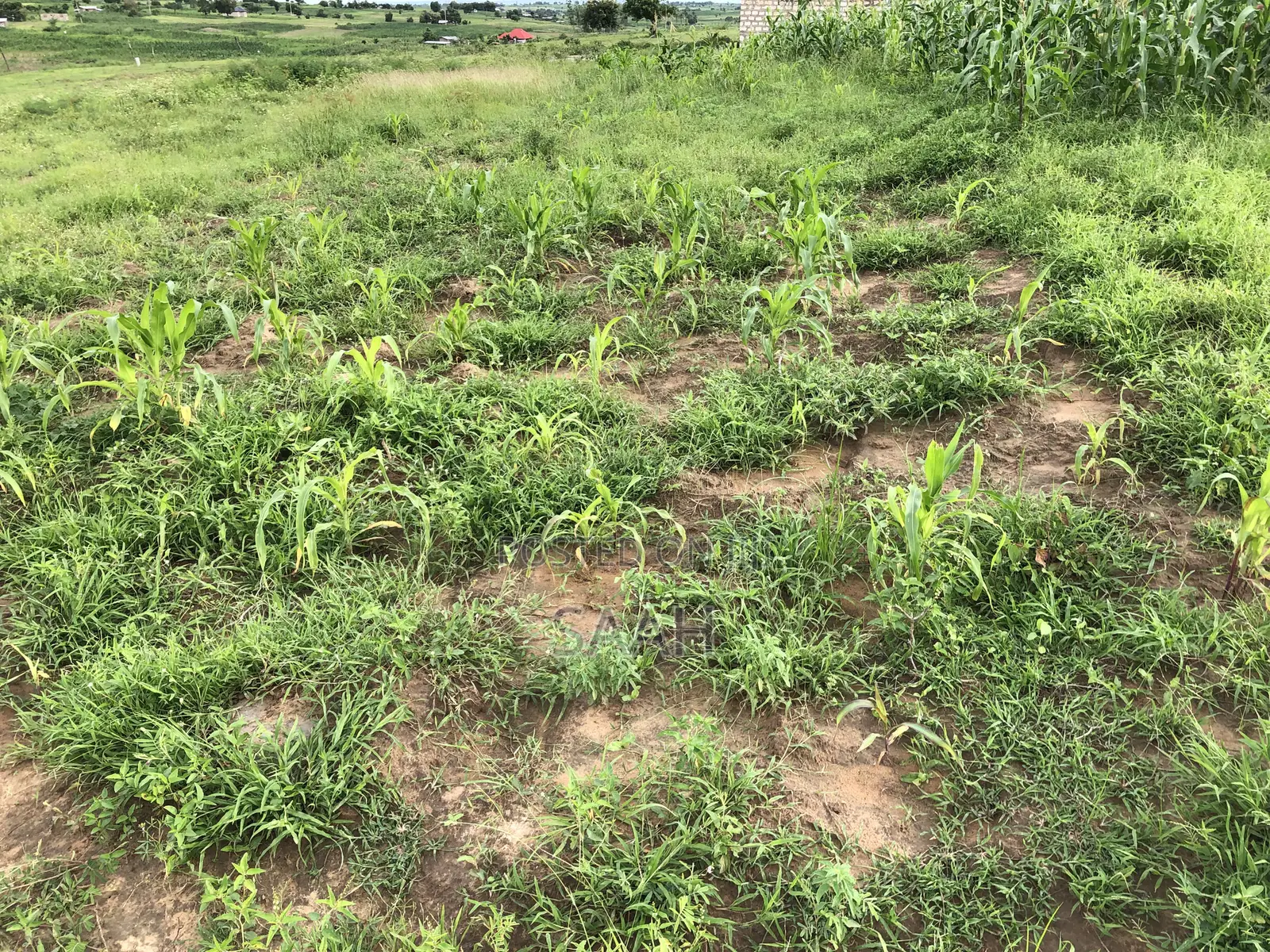 1/6th an Acre Plot for Sale