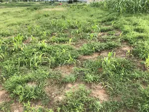 1/6th an Acre Plot for Sale