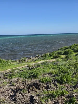 2 Acres Beachfront for Sale in Watamu Canaan Area Fully Fenced