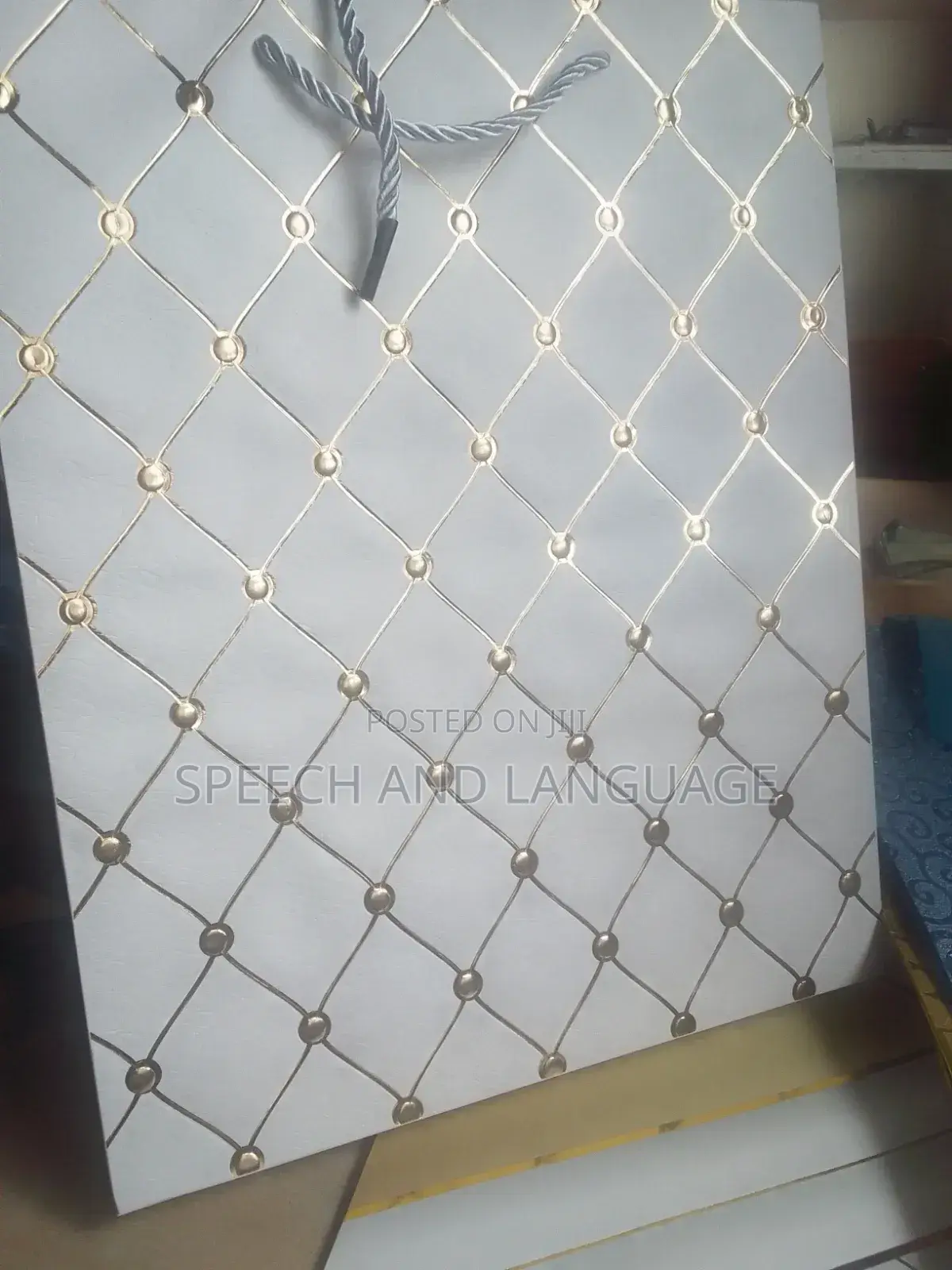 Elegant Gift Bags Echo Friendly