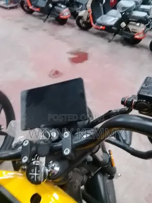 Electric Bike