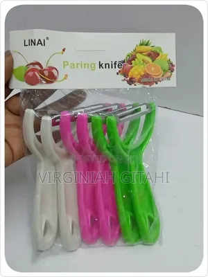 Stainless Steel Peeler With Plastic Handle