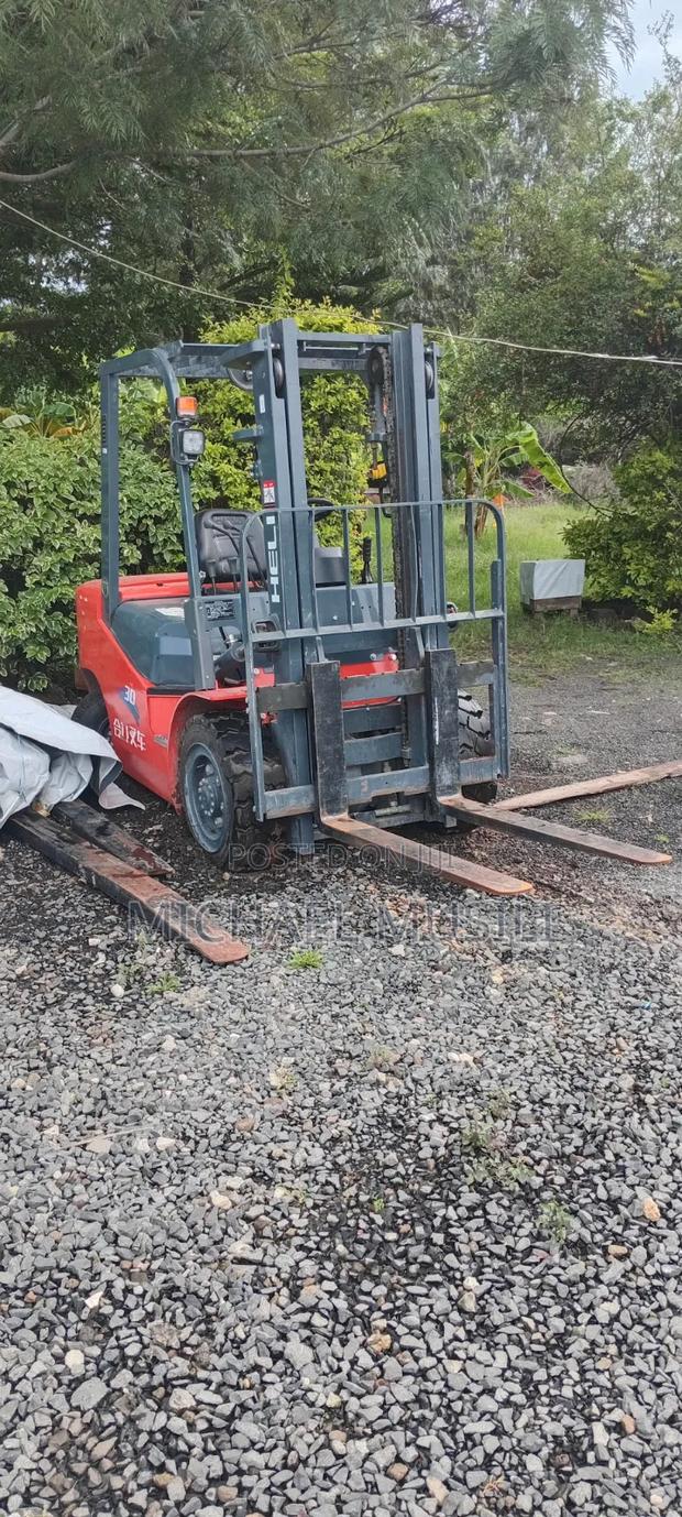 Heli Forklift - thumbnail 3