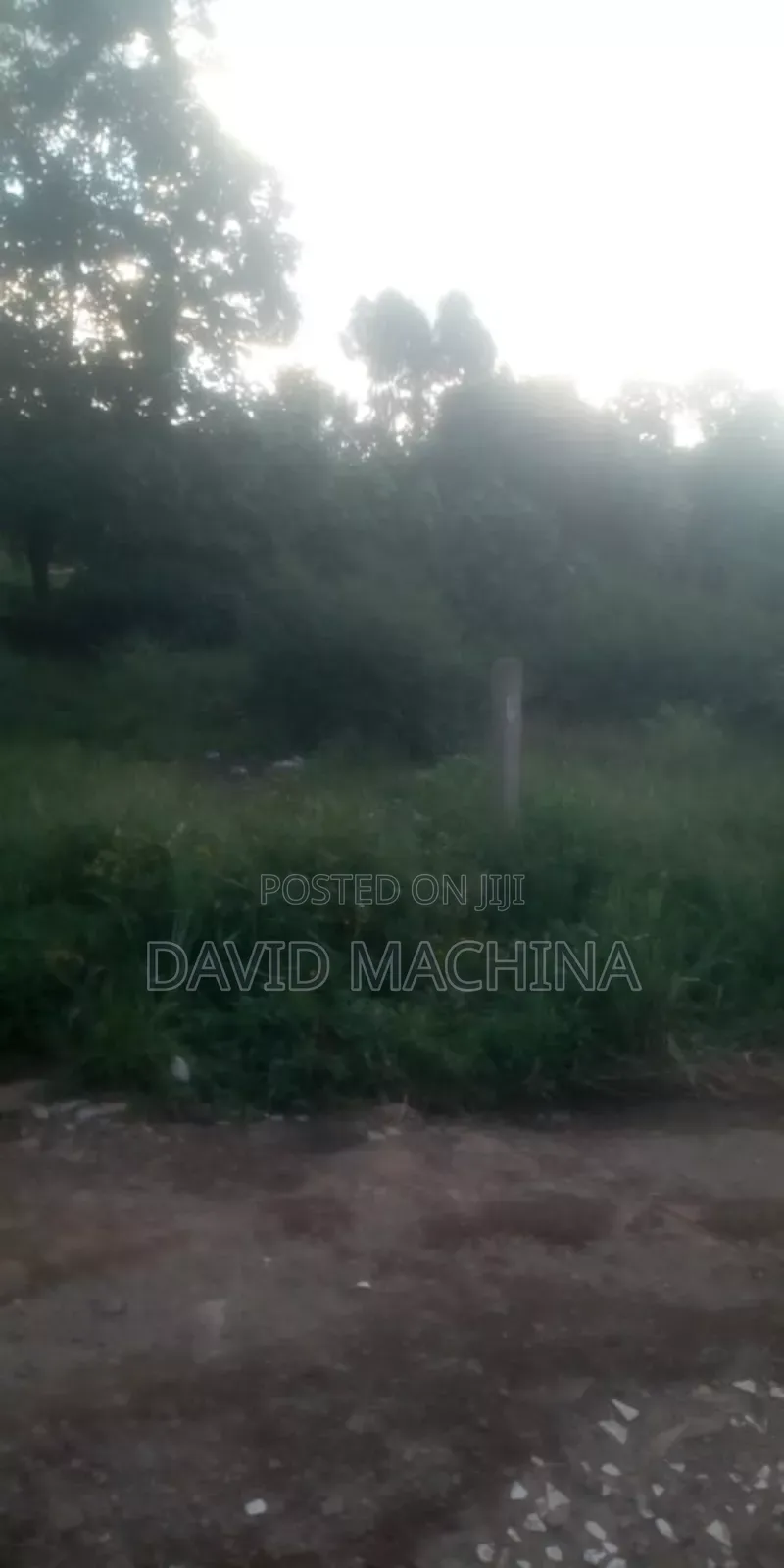 Prime Plot on Sale Mirema