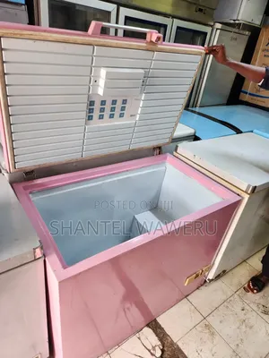 Pink Deep Freezer 300litres