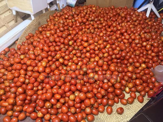 Organic Tomatoes