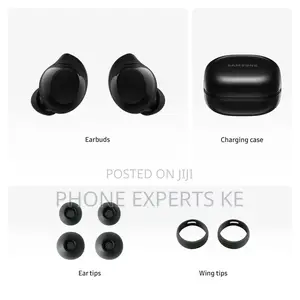 Galaxy Buds Core