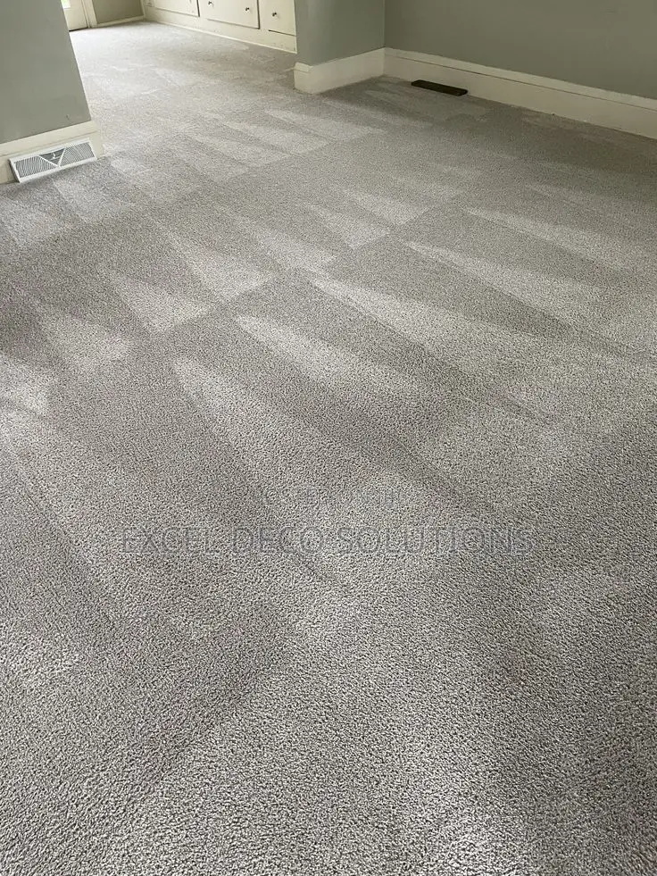 Delta Wall to Wall Carpet for Modern and Durable Floor Use